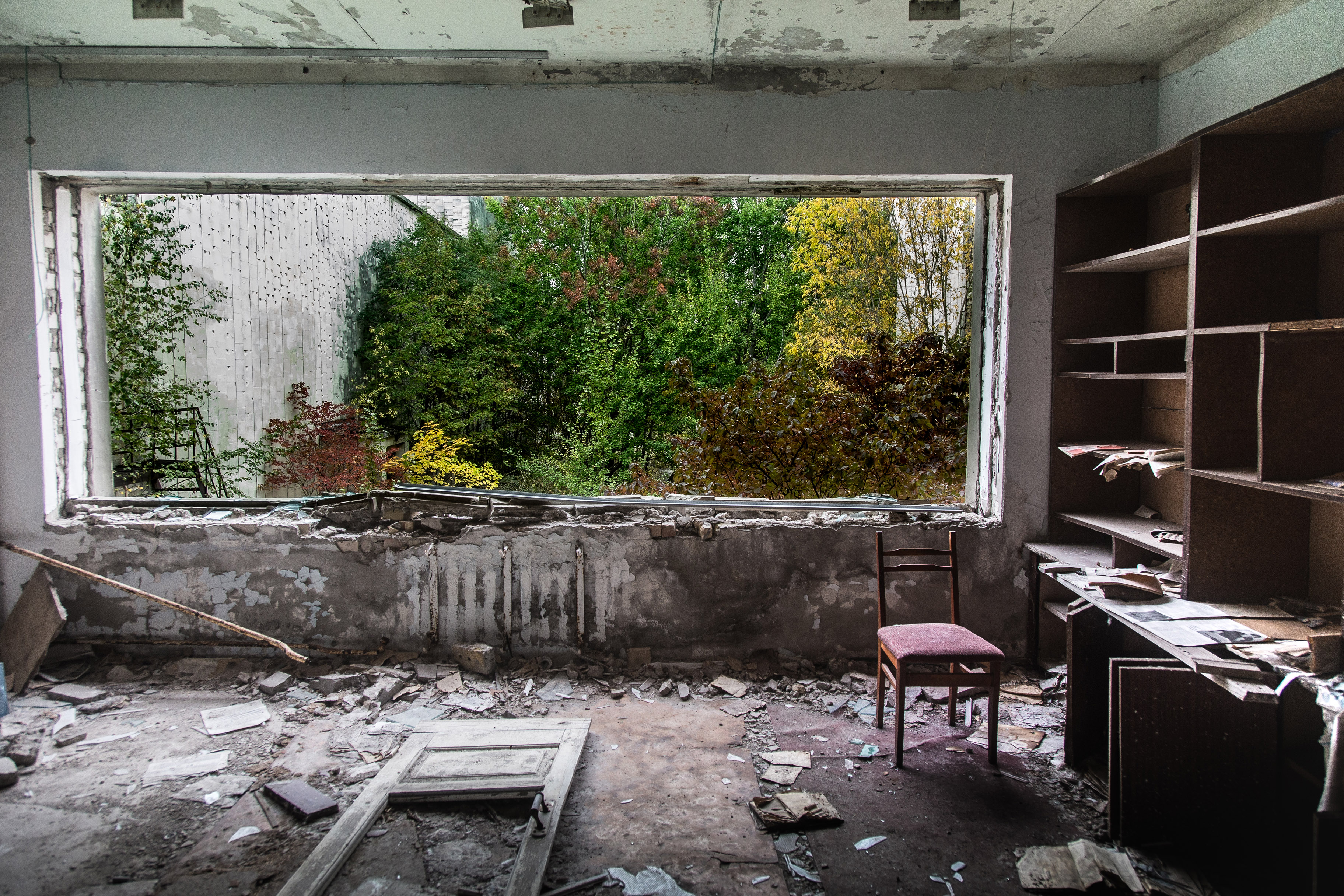 Vue de l'intérieur d'une bibliothèque en ruine sur un paysage verdoyant